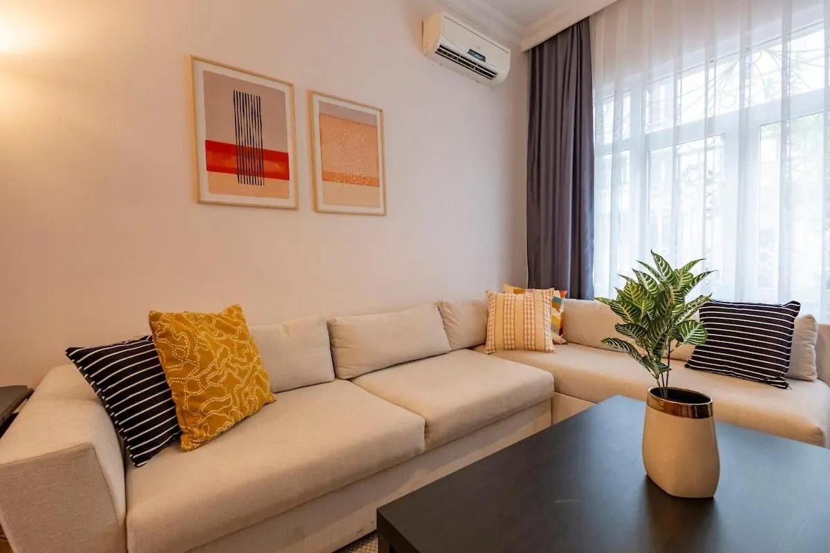 Central 3-Bedroom Apartment With High Ceilings Istanbul