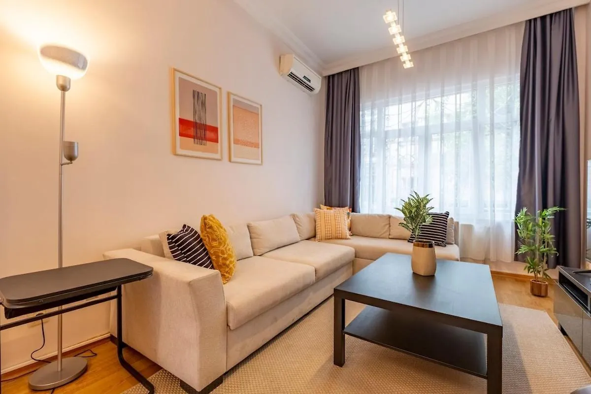 Central 3-Bedroom Apartment With High Ceilings Istanbulská provincie